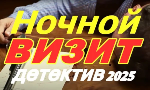 Ночной визит (сериал, 2025)