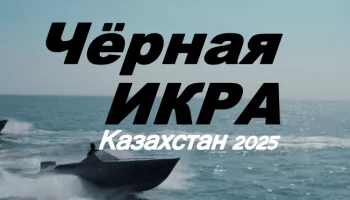 Закон один - выжить любой ценой / Черная Икра (2025) Казахстан