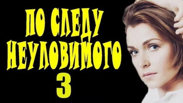 По следу неуловимого 3 (детектив, 2024)